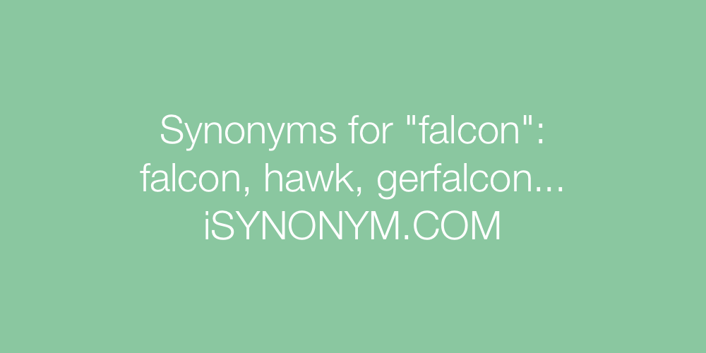Synonyms falcon