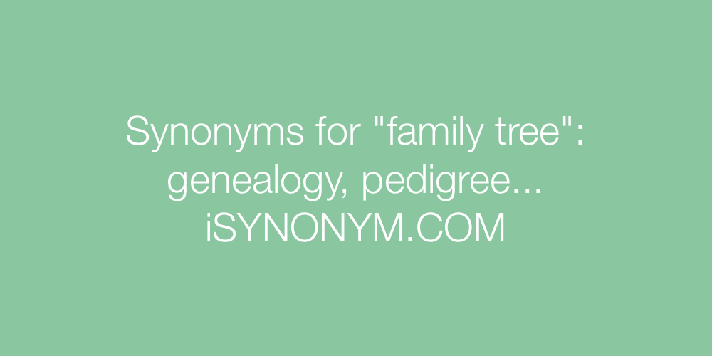 Synonyms family tree