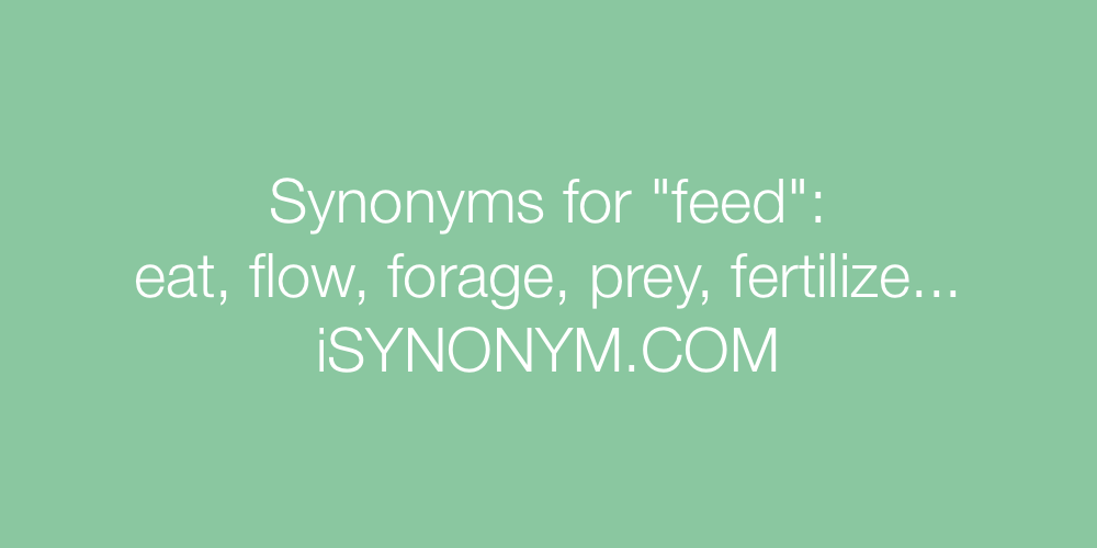 Synonyms feed