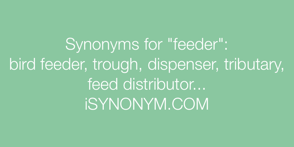 Synonyms feeder