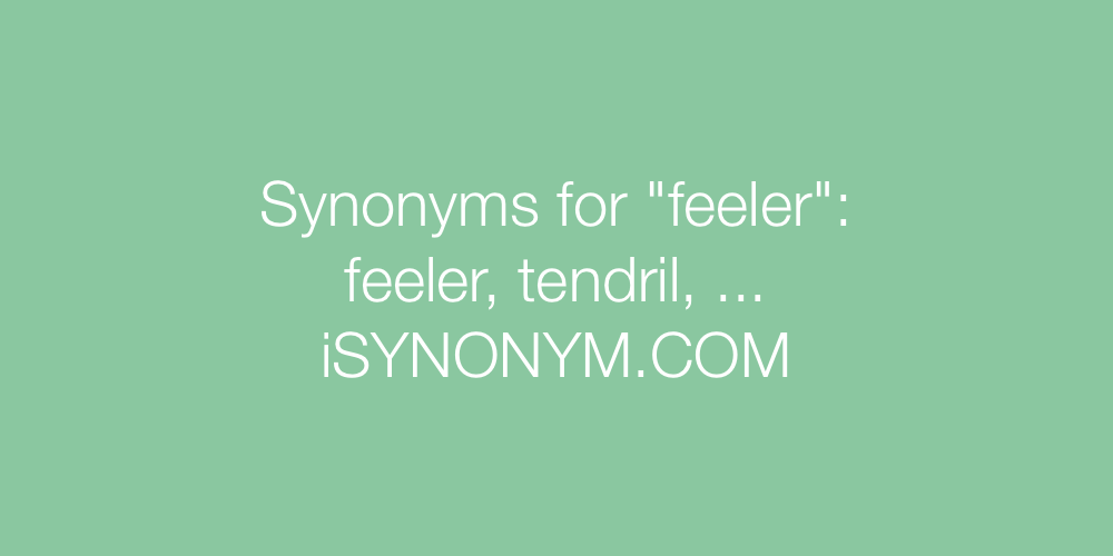 Synonyms feeler