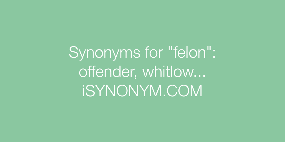 Synonyms felon
