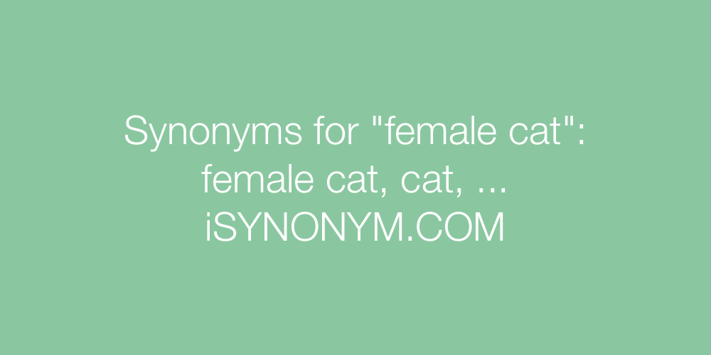 Synonyms female cat