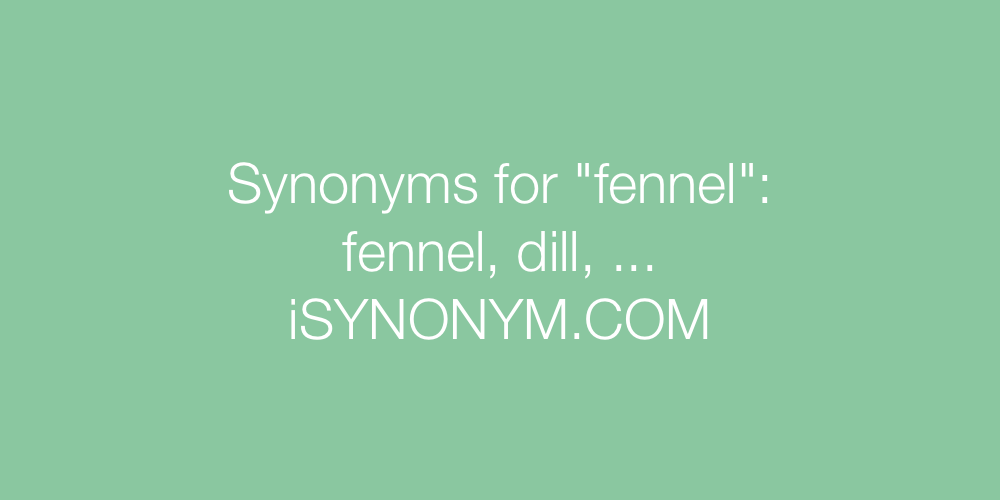 Synonyms fennel