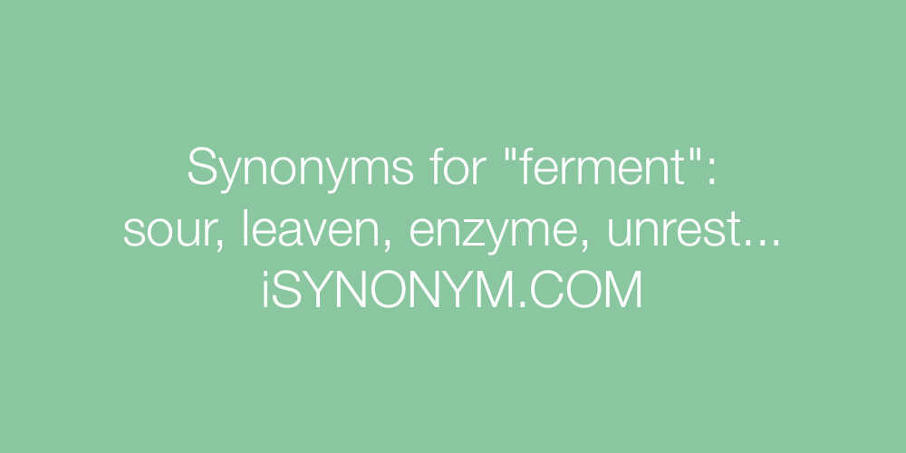 Synonyms ferment