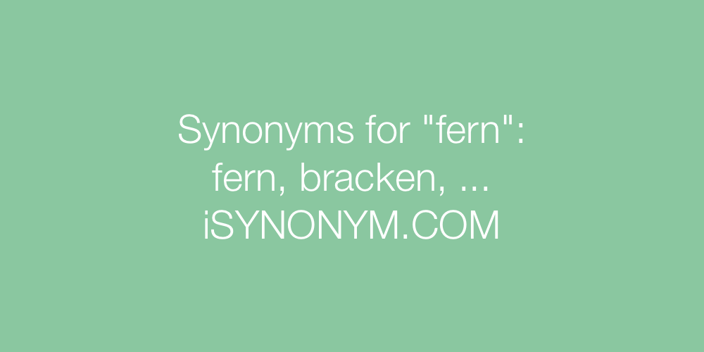 Synonyms fern