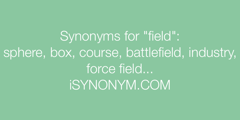Synonyms field