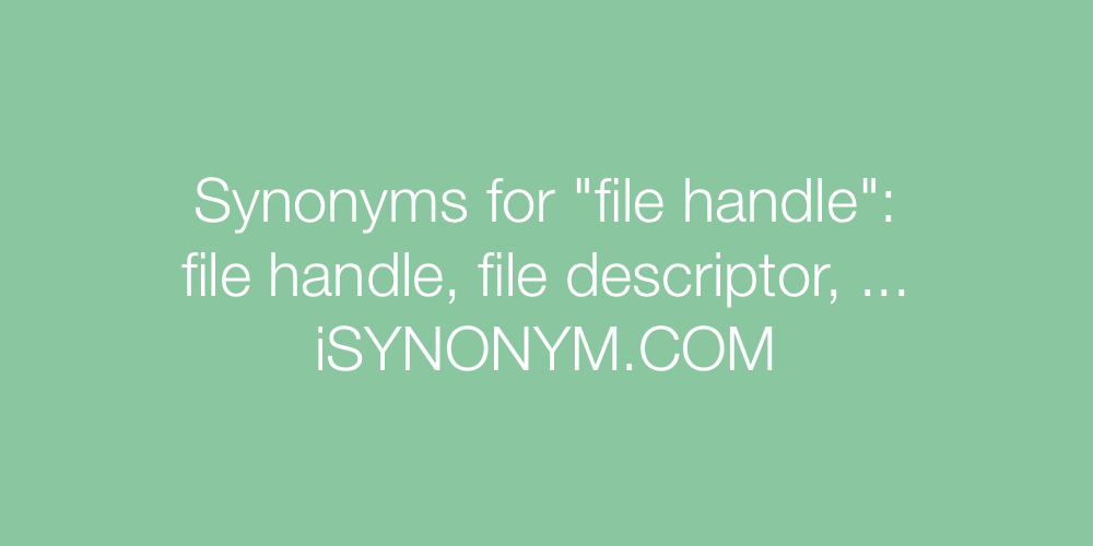 Synonyms file handle
