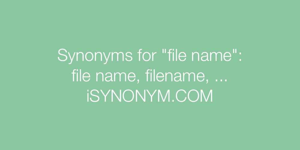 Synonyms file name