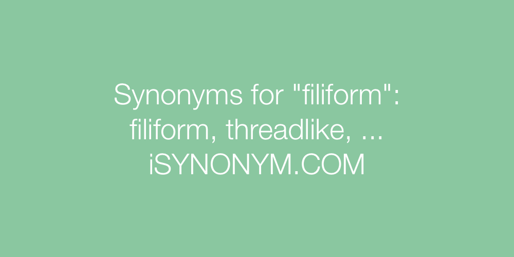 Synonyms filiform