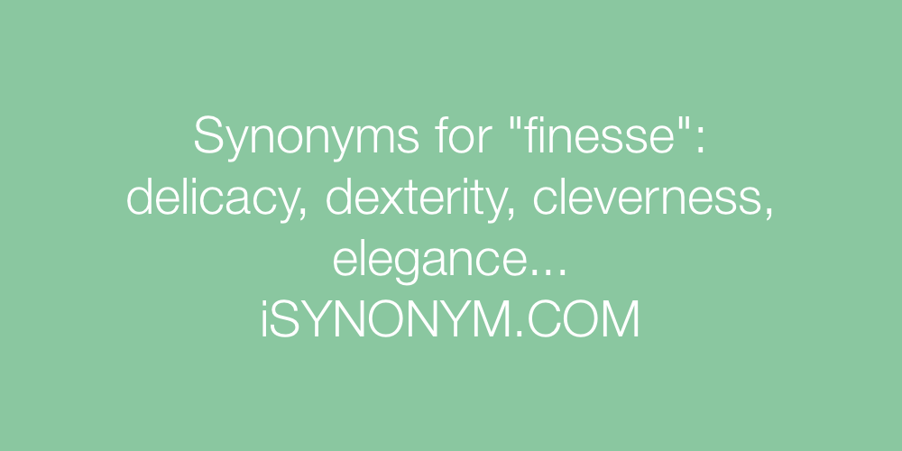Synonyms finesse