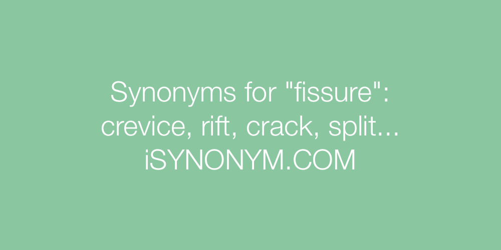 Synonyms fissure