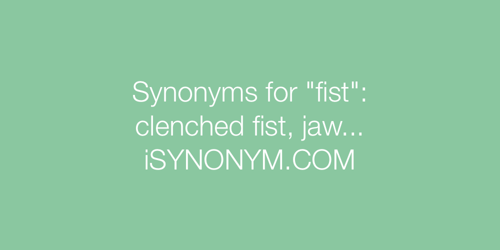Synonyms fist