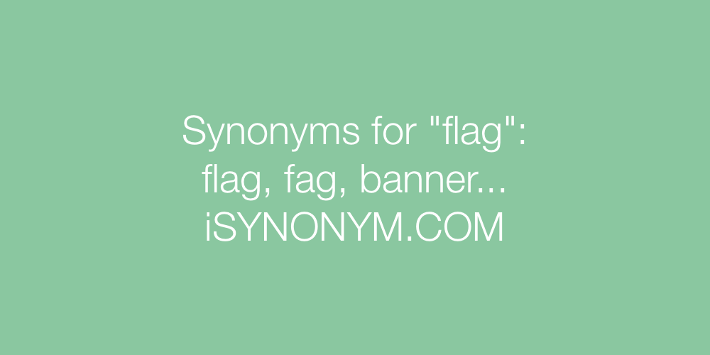 Synonyms flag