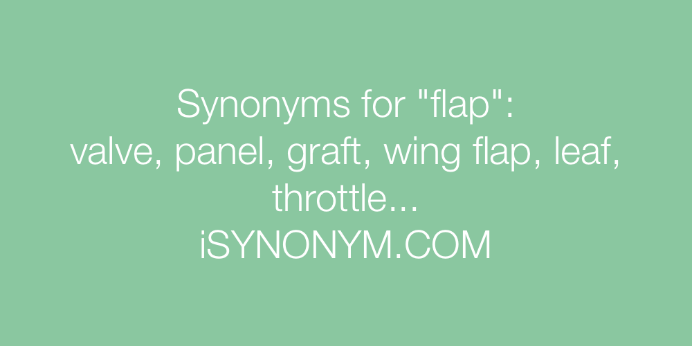 Synonyms flap