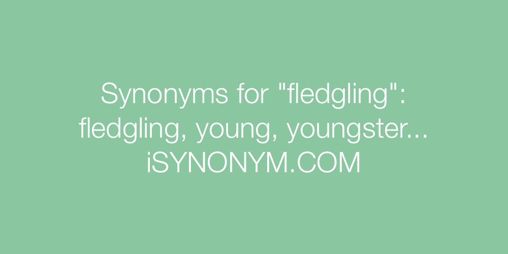 Synonyms fledgling