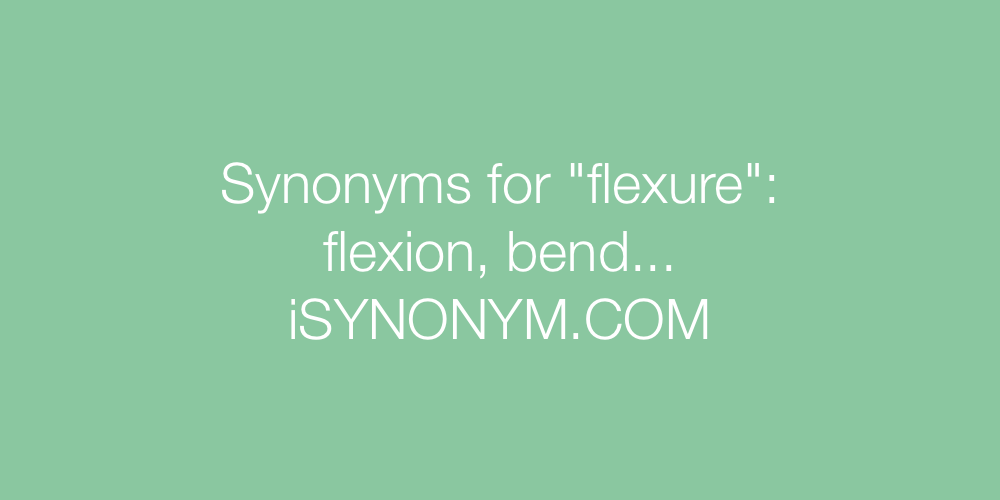 Synonyms flexure