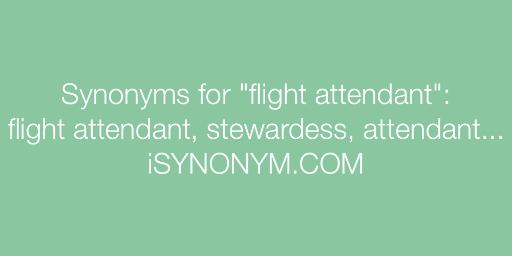 Synonyms flight attendant