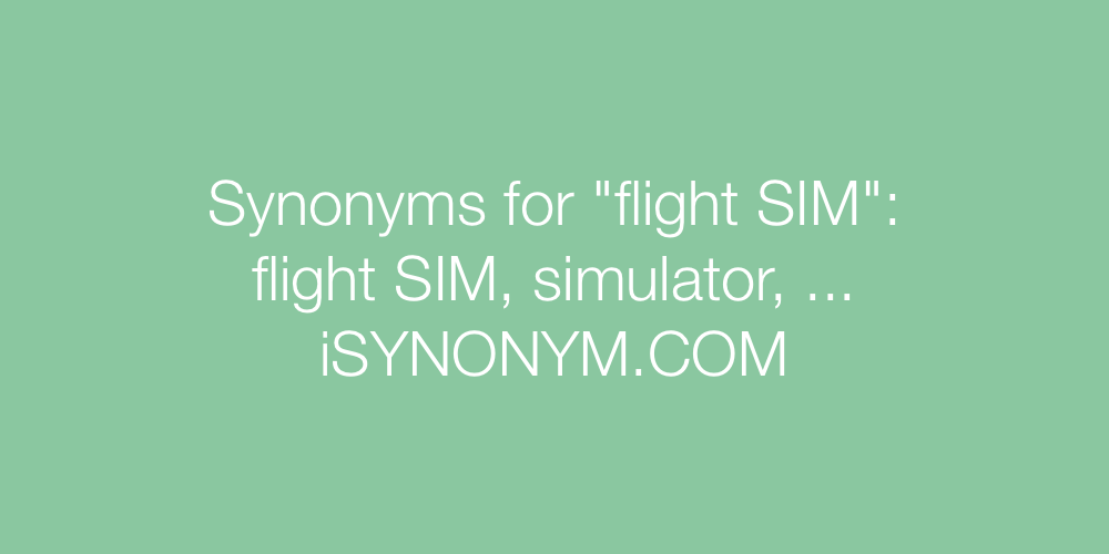Synonyms flight SIM