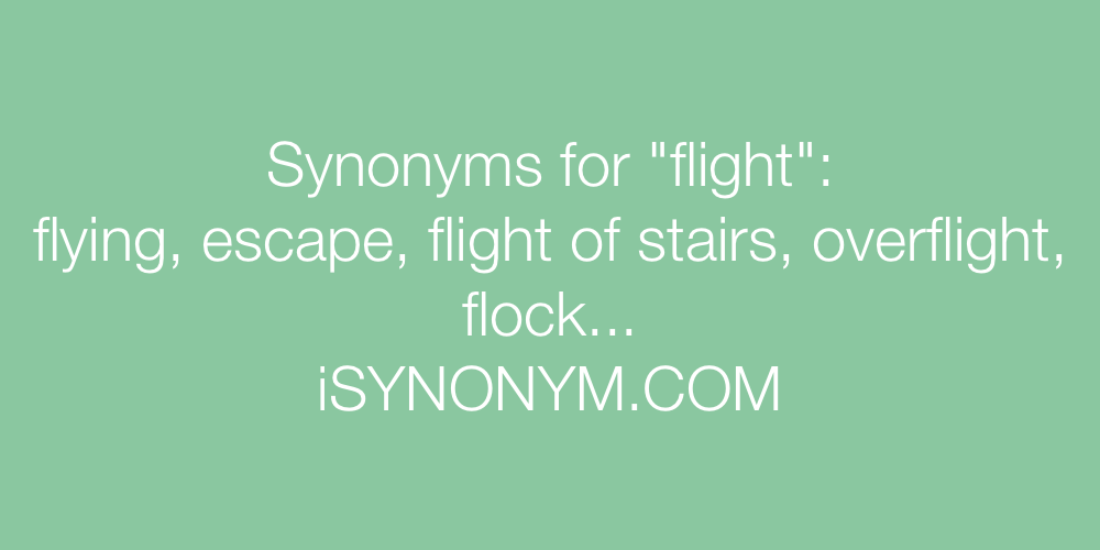 Synonyms flight
