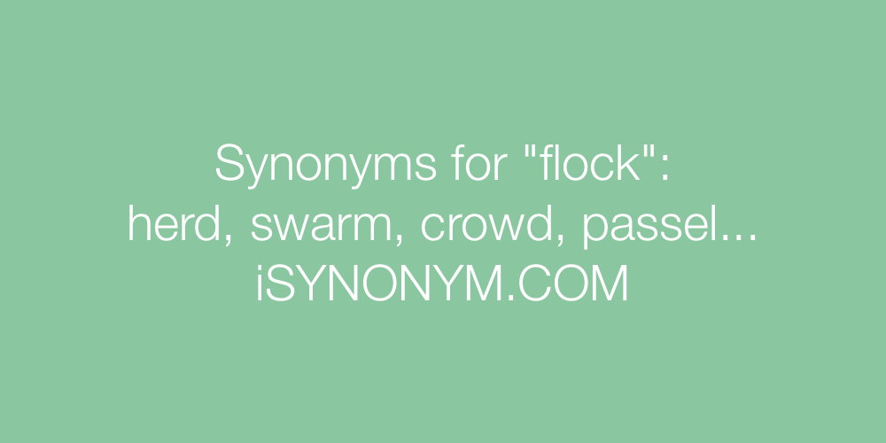 Synonyms flock