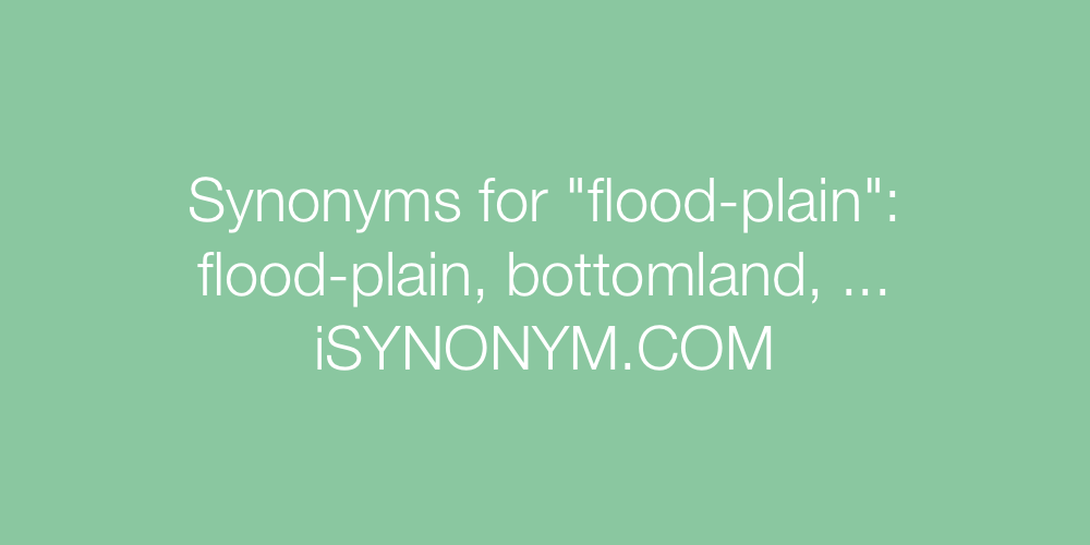 Synonyms flood-plain