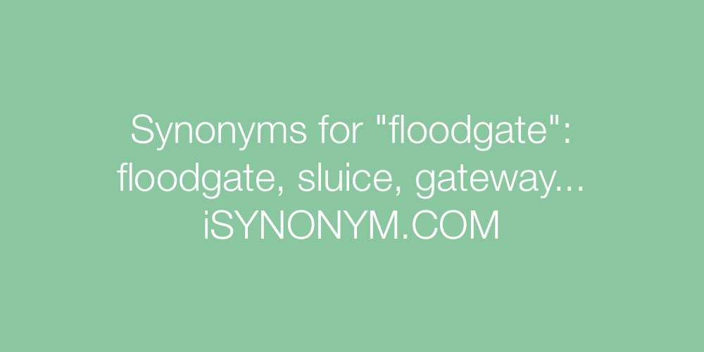 Synonyms floodgate