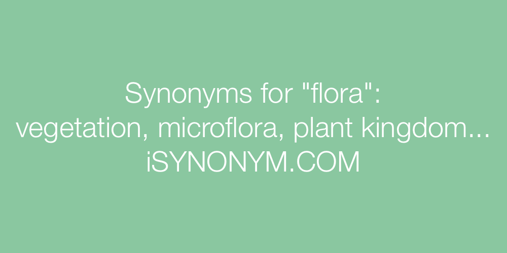 Synonyms flora