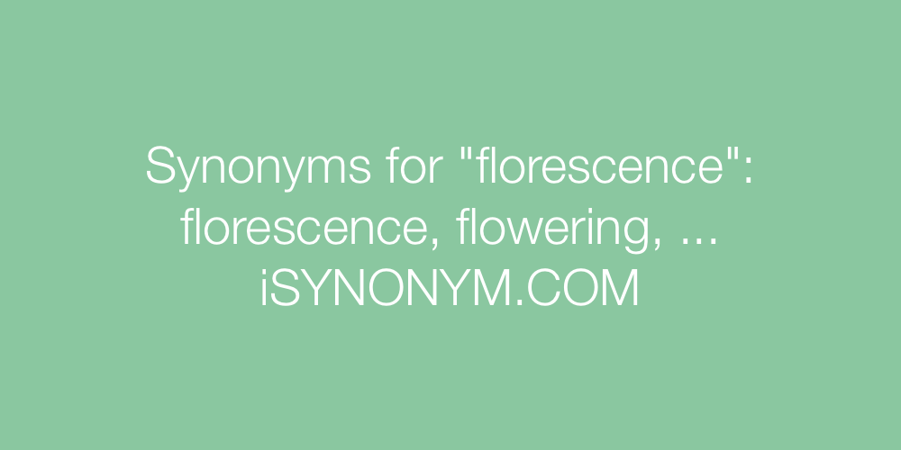 Synonyms florescence