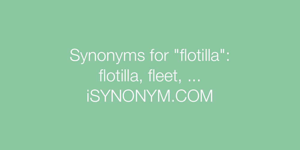 Synonyms flotilla