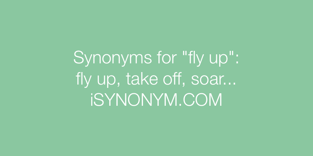 Synonyms fly up