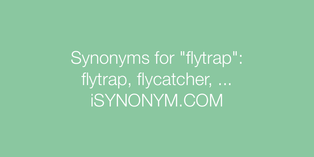 Synonyms flytrap
