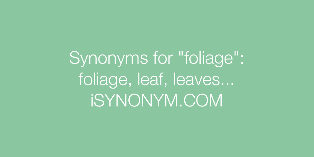Synonyms foliage