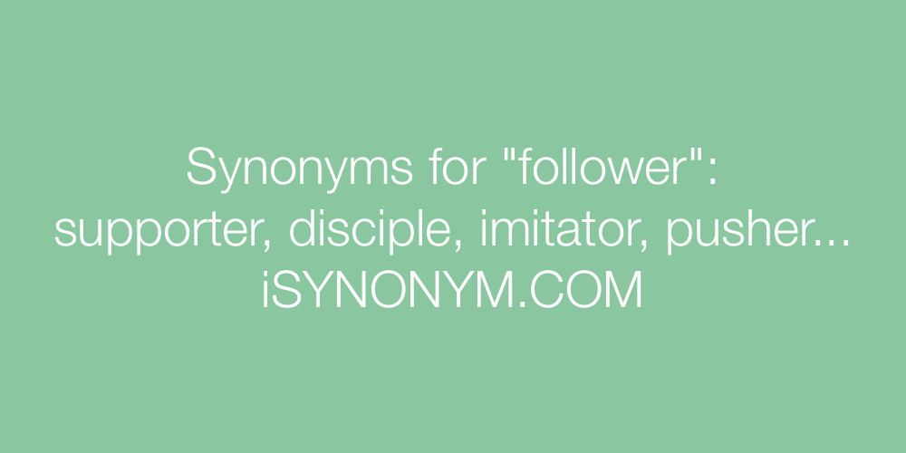 Synonyms follower