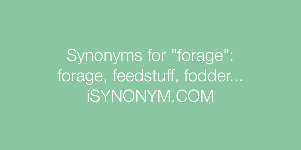 Synonyms forage