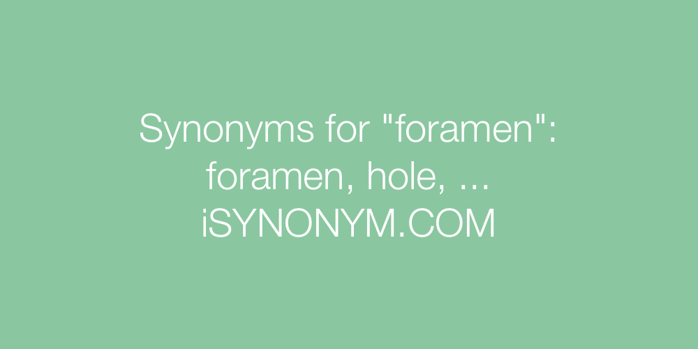 Synonyms foramen