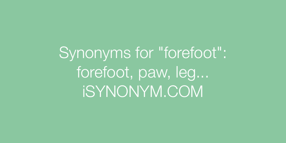 Synonyms forefoot