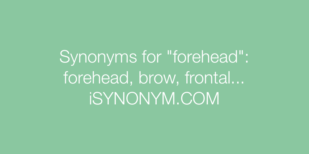 Synonyms forehead