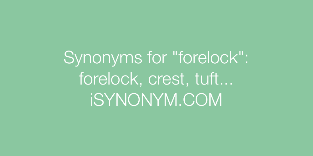 Synonyms forelock