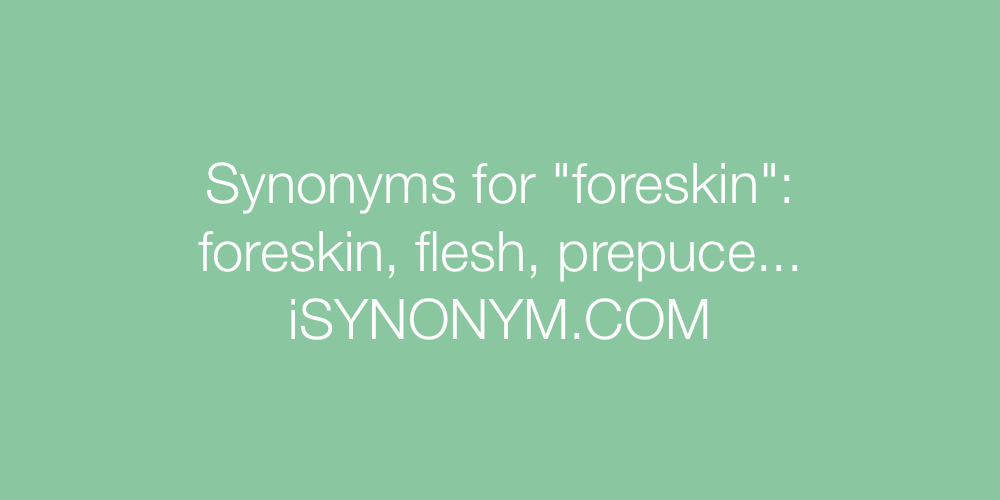 Synonyms foreskin
