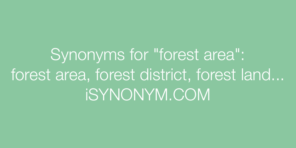 Synonyms forest area