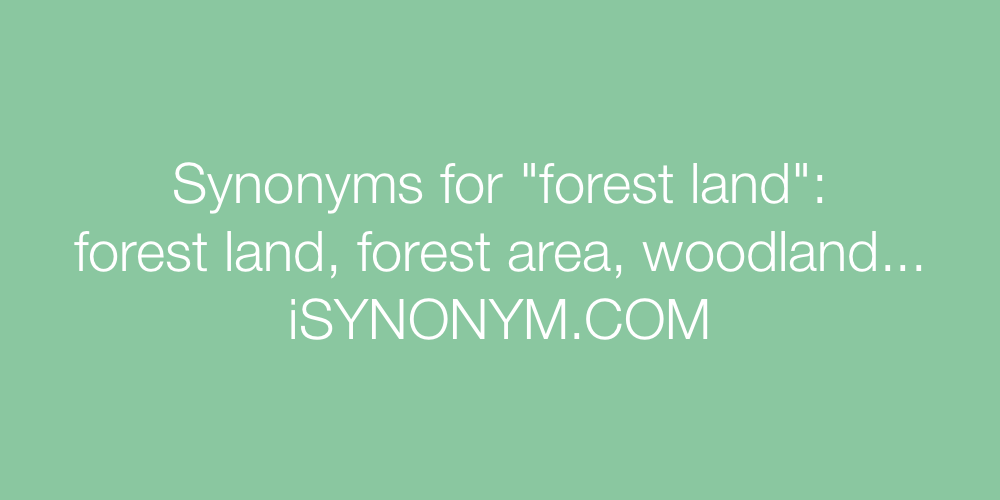 Synonyms forest land