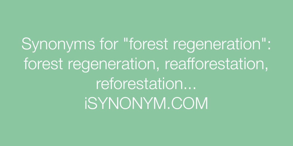 Synonyms forest regeneration