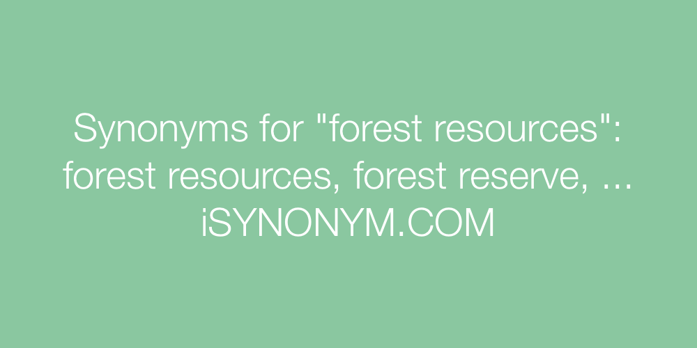 Synonyms forest resources