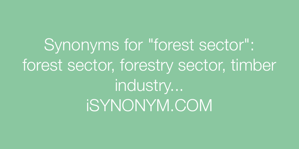 Synonyms forest sector