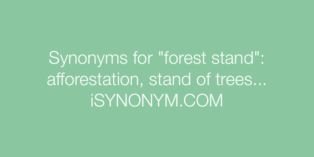 Synonyms forest stand
