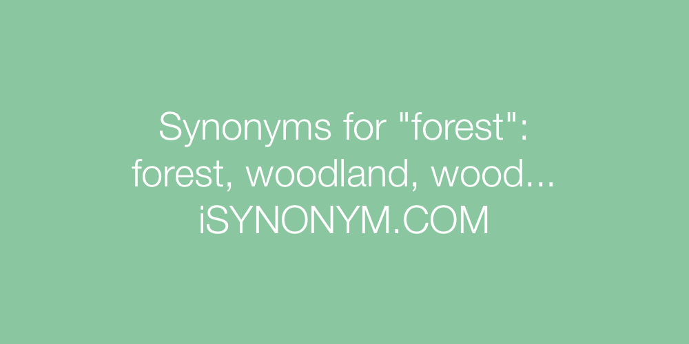 Synonyms forest