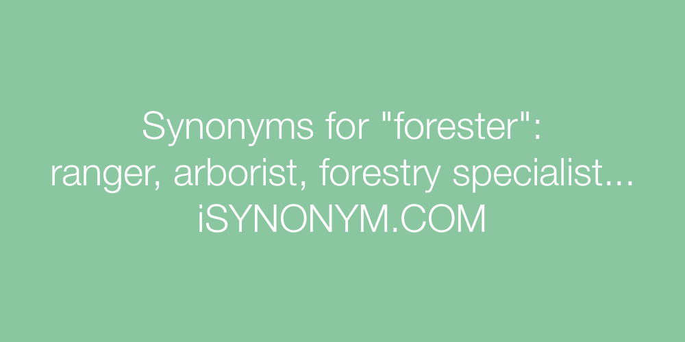 Synonyms forester