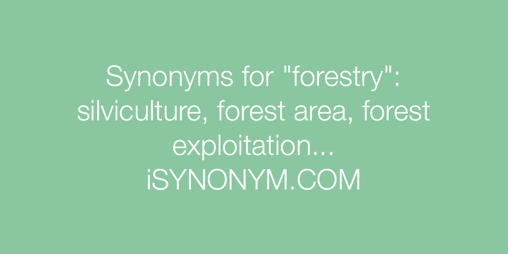 Synonyms forestry