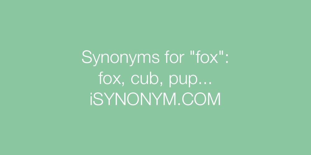 Synonyms fox